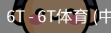 6T体育